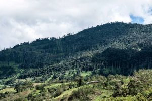 parque nacional de cutervo