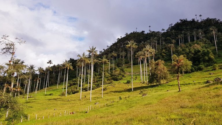 parque nacional de cutervo