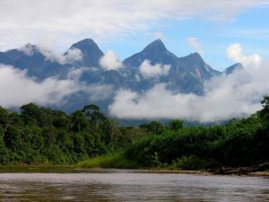 Cordillera azul