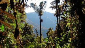 parque nacional otishi