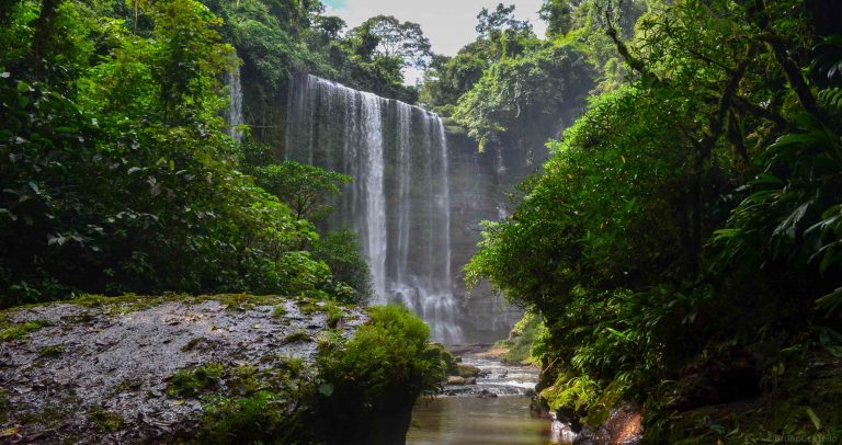 Parque Nacional Otishi: visita este paraje selvático entre Junín y Cusco