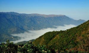 bosques nublados de udima