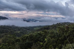 bosques nublados de udima