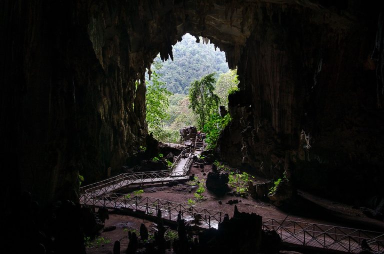 Cueva de las lechuzas: conoce el mejor lugar para contemplar la biodiversidad en Tingo María