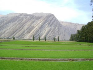valle de majes