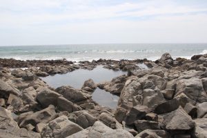 piscinas naturales