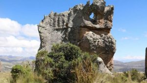 bosque de piedras de laupay