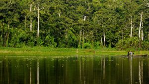 reserva nacional del perú