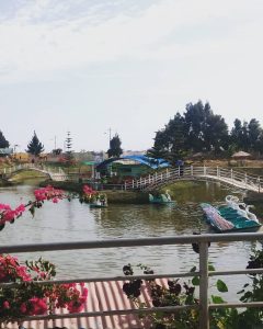 Vivero Forestal de Chimbote