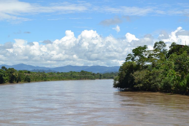 Conoce las principales reservas naturales de la selva peruana
