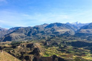 cañón del colca arequipa