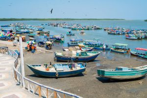 platos típicos de tumbes