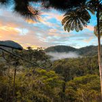 Sunset,In,The,Jungle,,Oxapampa,,Peru