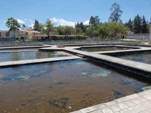 Baños del Inca