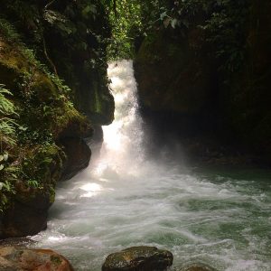 Velo de las ninfas