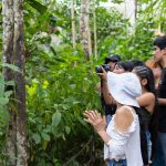 Mariposario Zhaveta Yard, La Merced – viaja en bus