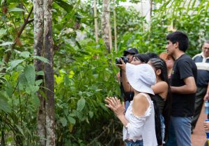 Mariposario Zhaveta Yard, La Merced - viaja en bus