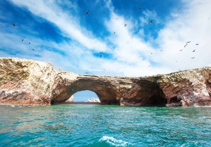 Reserva Nacional de Paracas - Pasajes en bus