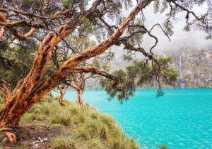 Laguna de Llanganuco - Huaraz