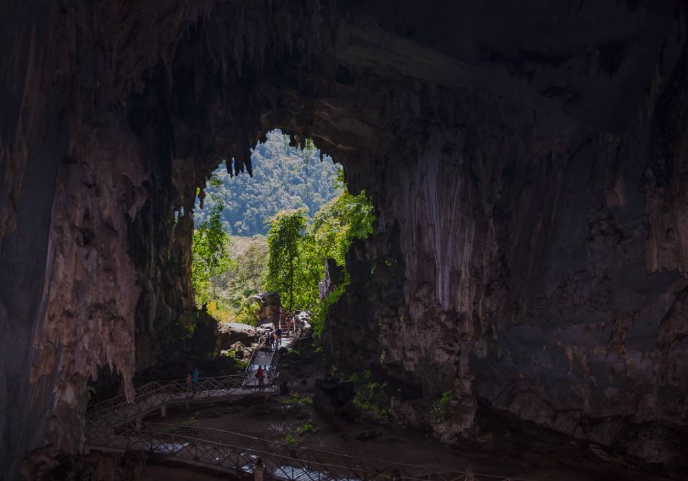 La cueva de las lechuzas, Tingo María, Huánuco - Viaja en bus